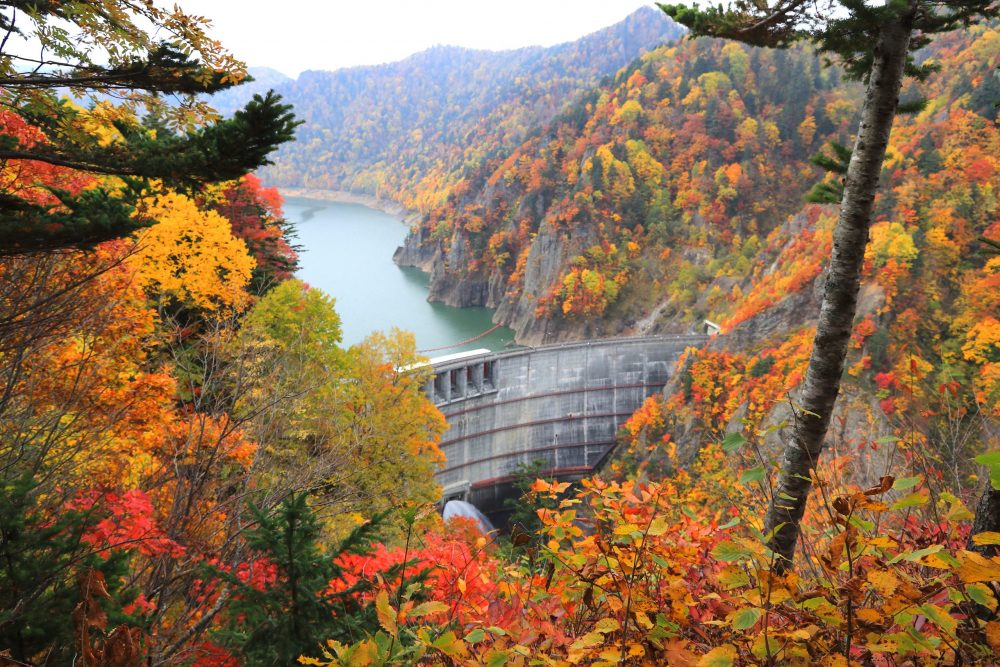 Beautiful Autumn Hokkaido Maple Tour