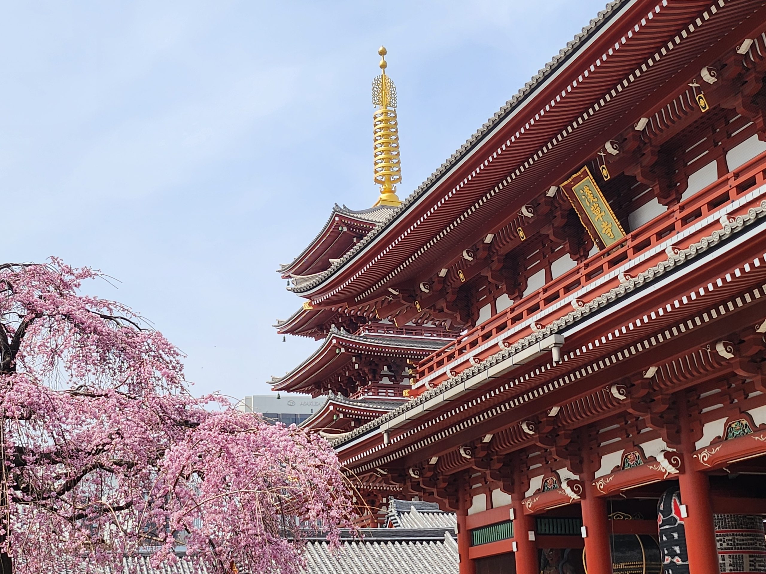 Spring Break in Osaka & Tokyo