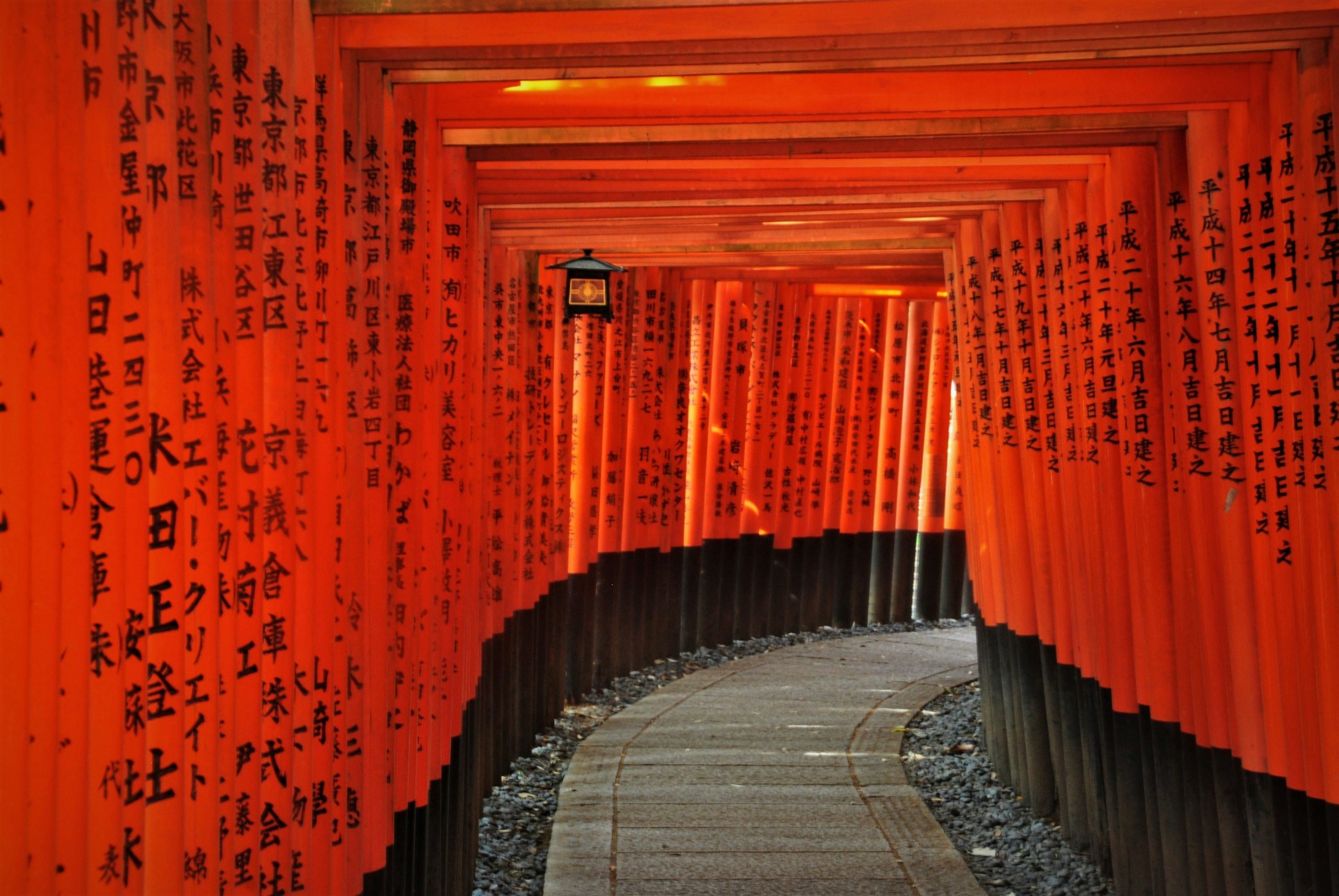 Spring Break in Osaka & Tokyo (I)