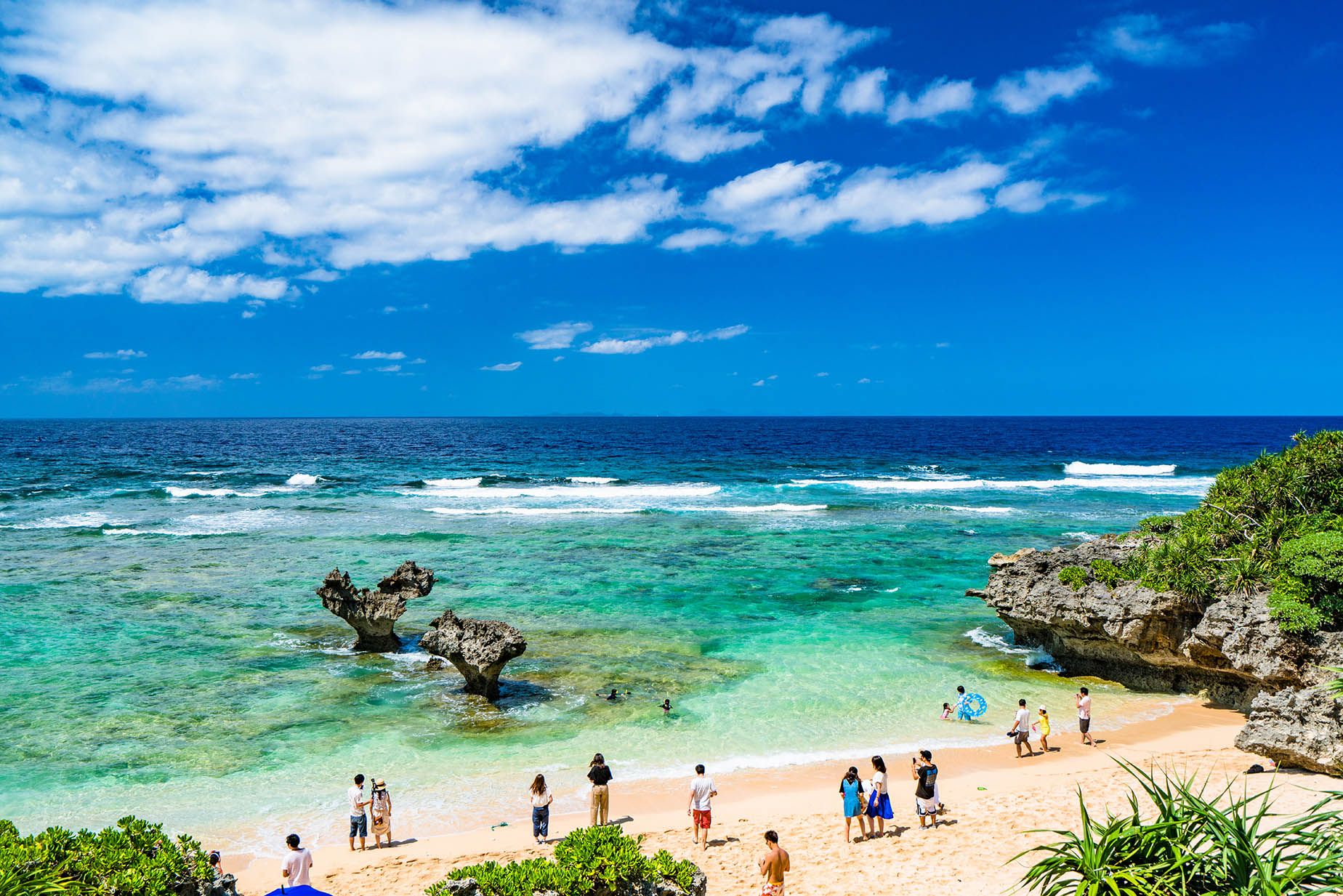 Cherry Blossom in Okinawa