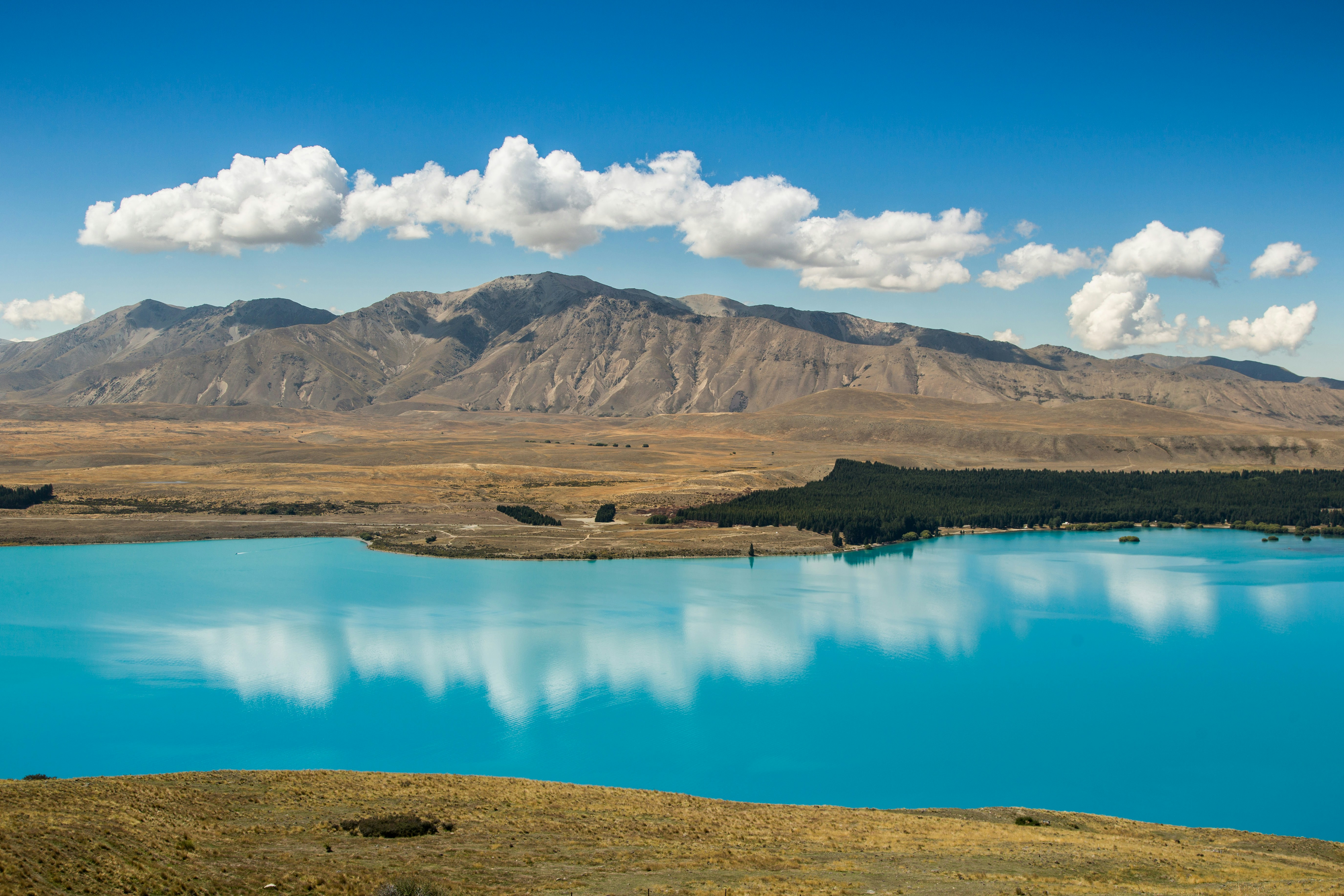 Adventures to New Zealand
