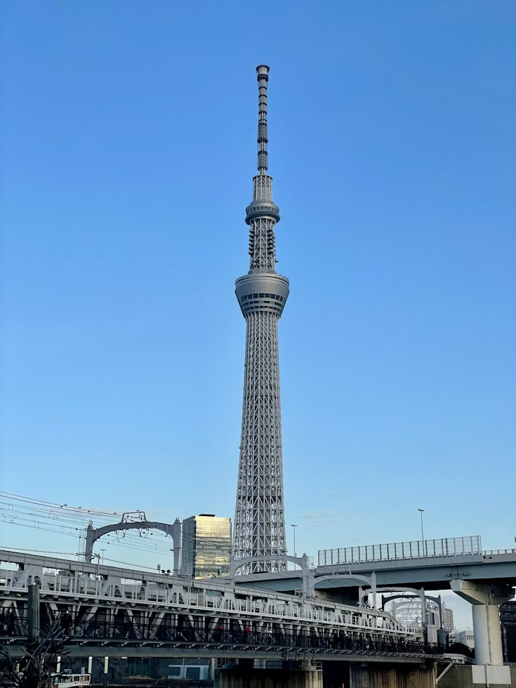 Christmas Shopping in Tokyo