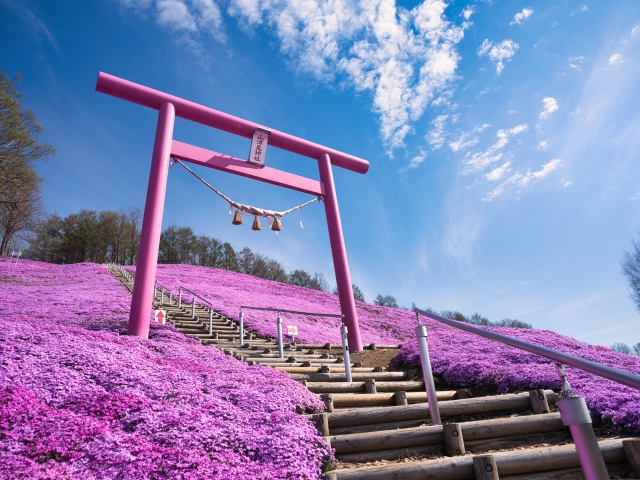 Hokkaido Spring Flower Festivals